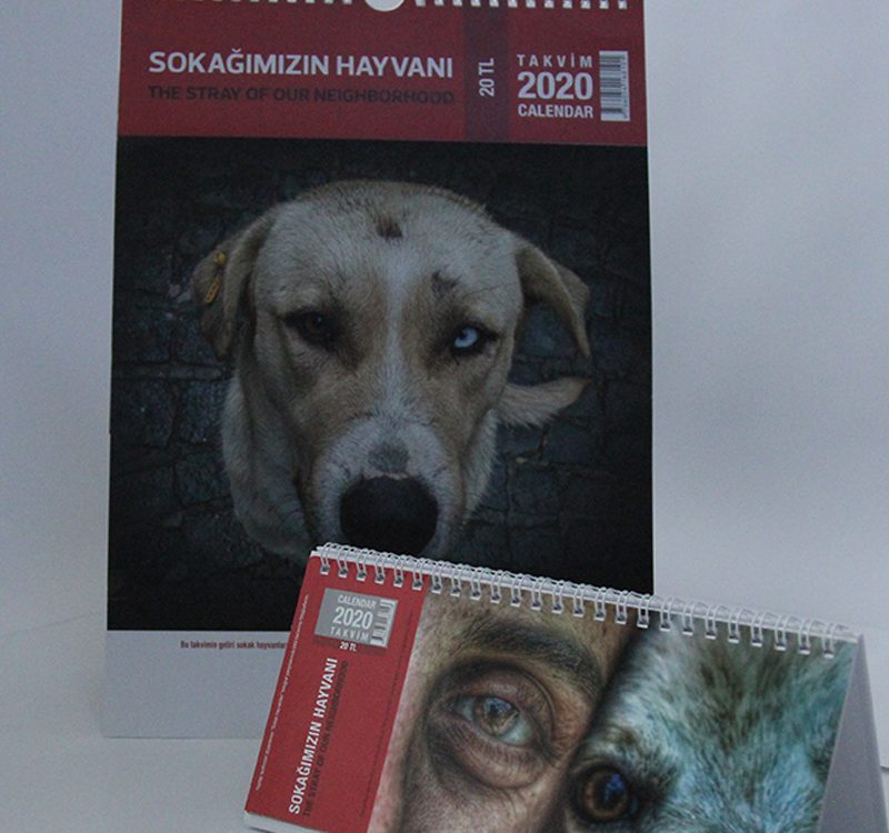 Duvar Takvimi